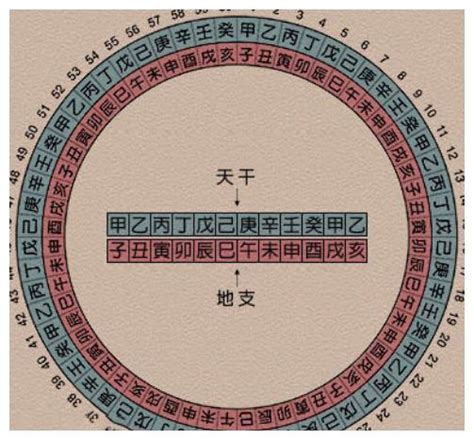 1997是什么年|按天干地支的纪年法，1997年应是什么年